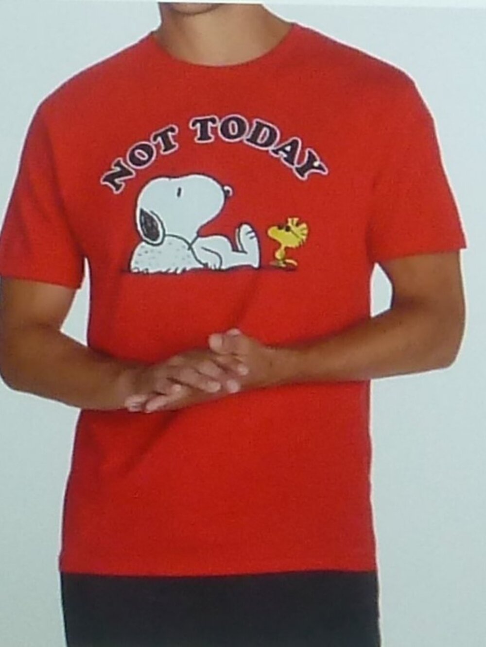 Peanuts Snoopy Woodstock Not Today Red T-Shirt Small